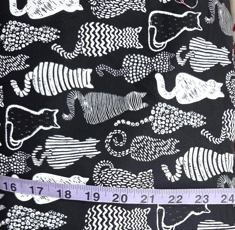 Black & White Cats