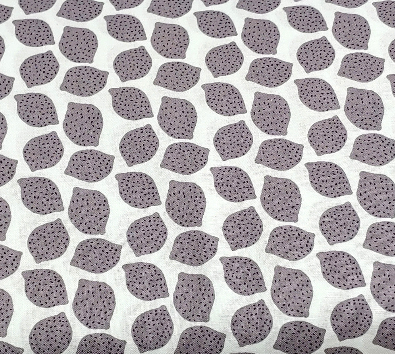 Gray Lemons on White