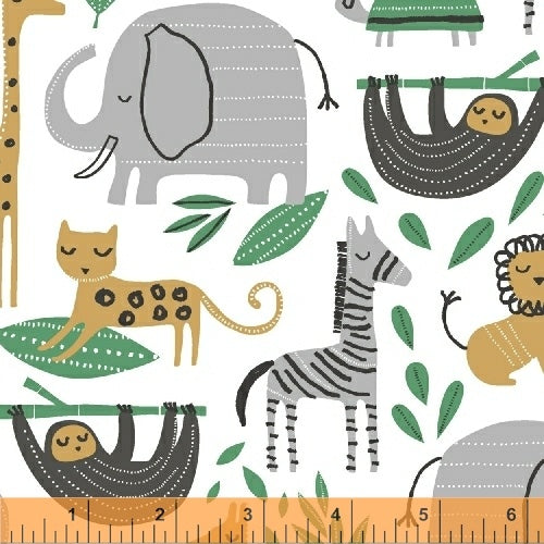 Wild About You on White