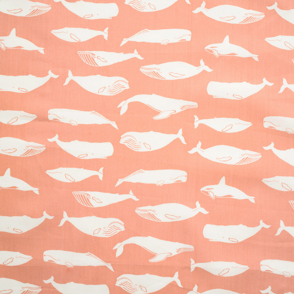 Whales on Salmon ♥ ORGANIC