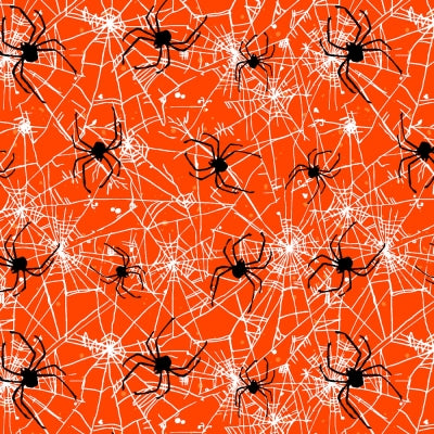 Spiders on Orange