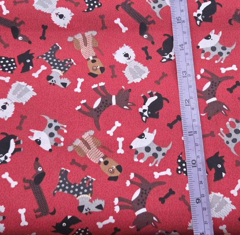 Dog Toss on Red