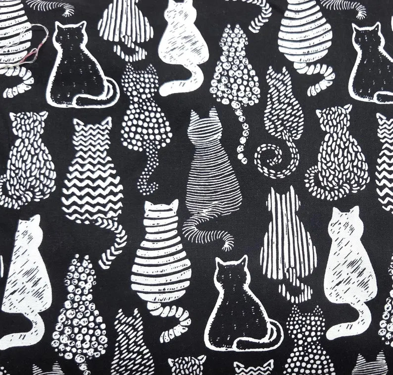 Black & White Cats