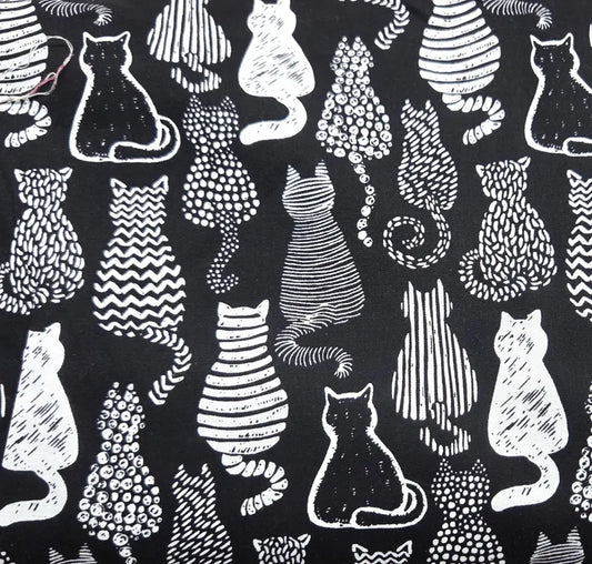 Black & White Cats